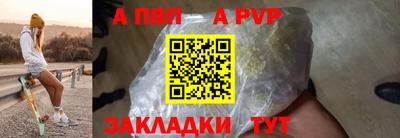 СК Кингисепп