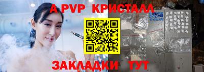 СК Кингисепп